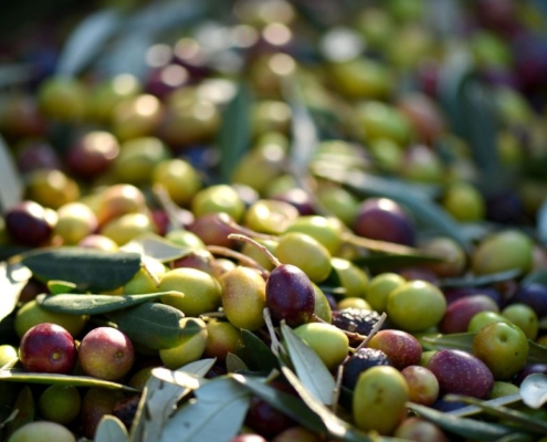 pile of olives and leaves - Anytime Olive Oil Products wholesale olive oil pour spouts