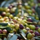 pile of olives and leaves - Anytime Olive Oil Products wholesale olive oil pour spouts