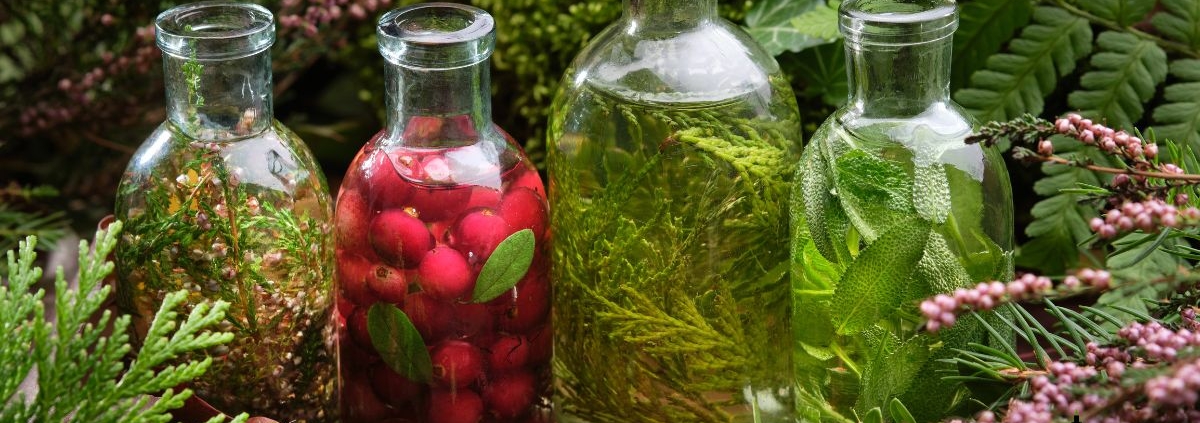 four clear bottles of olive oil being infused with herbs and fruit - Anytime Bar Supplies olive oil