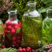 AnytimeOiliveOilProducts-olive-oil-110620252 four clear bottles of olive oil being infused with herbs and fruit - Anytime Bar Supplies olive oil