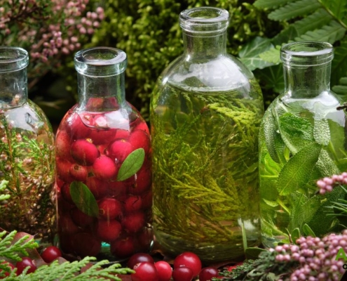 four clear bottles of olive oil being infused with herbs and fruit - Anytime Bar Supplies olive oil